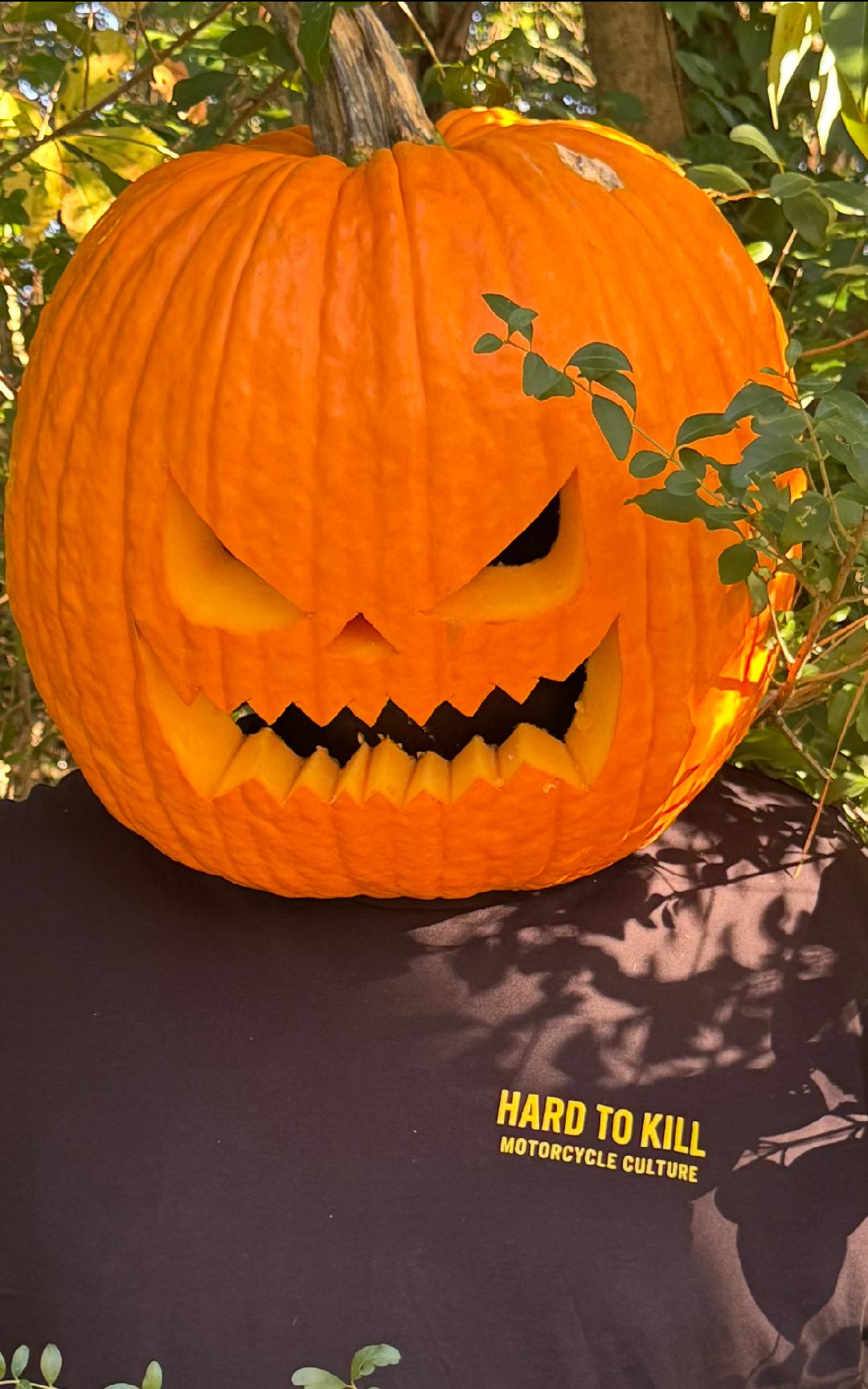 H2K4LF Plate T-shirt